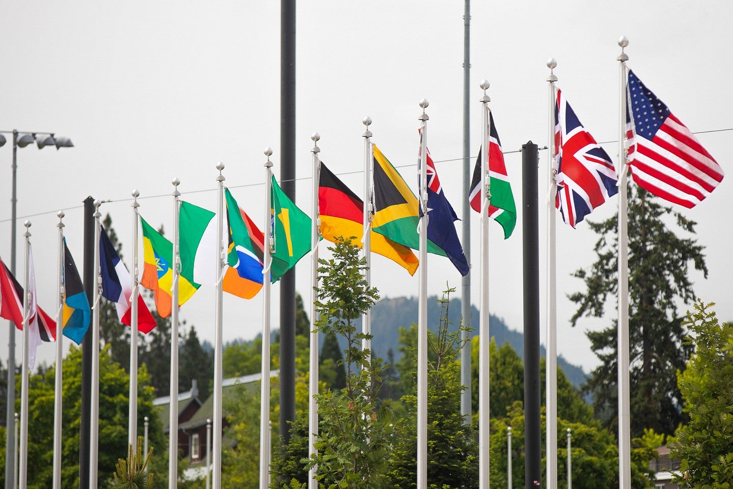 Hayward Field Flags