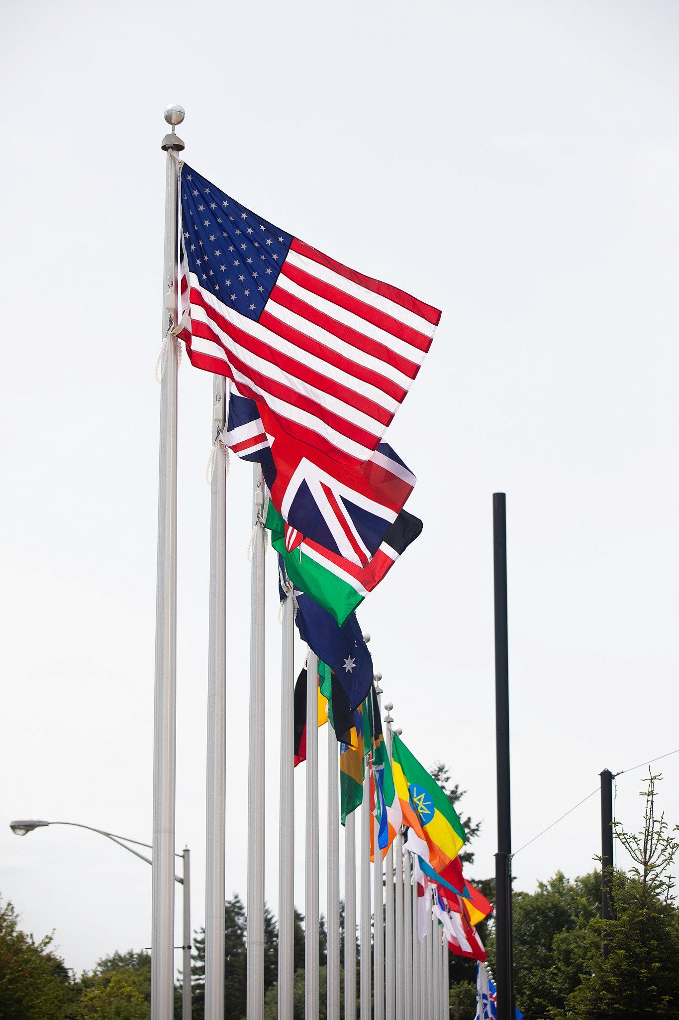 Hayward Field Flags